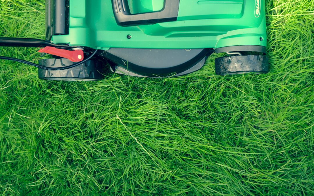 4 Seasons Lawn Care: Practices for Year-Round Weather Conditions