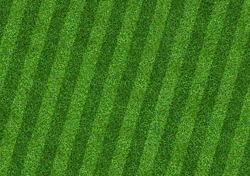 Lawn Stripes Mowing Pattern