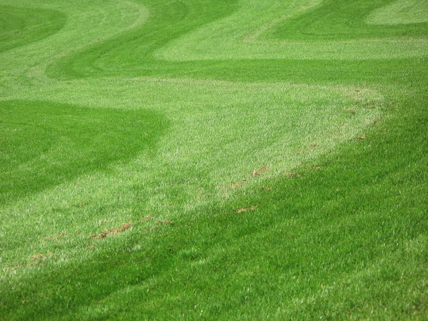 Lawn Wave Mowing Pattern